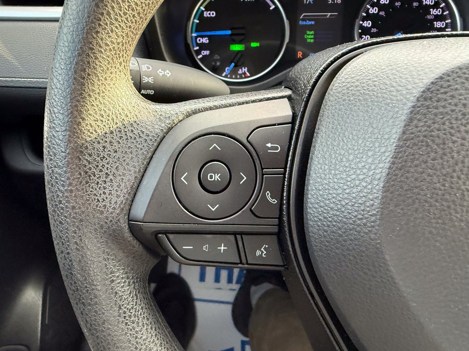 2019 Toyota RAV4 Hybrid LE-21