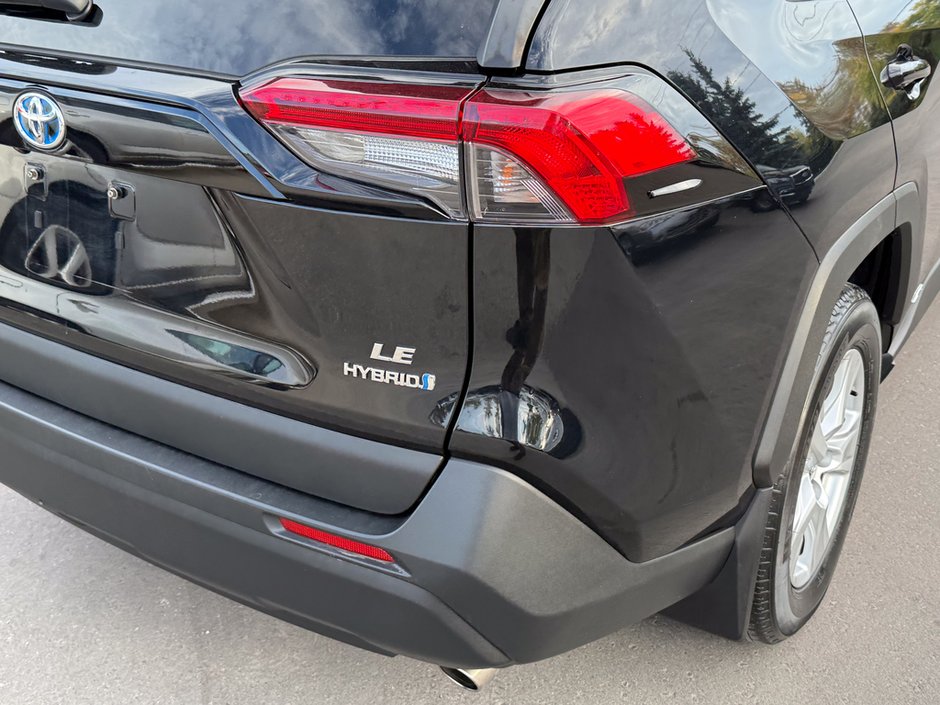 2019 Toyota RAV4 Hybrid LE-11