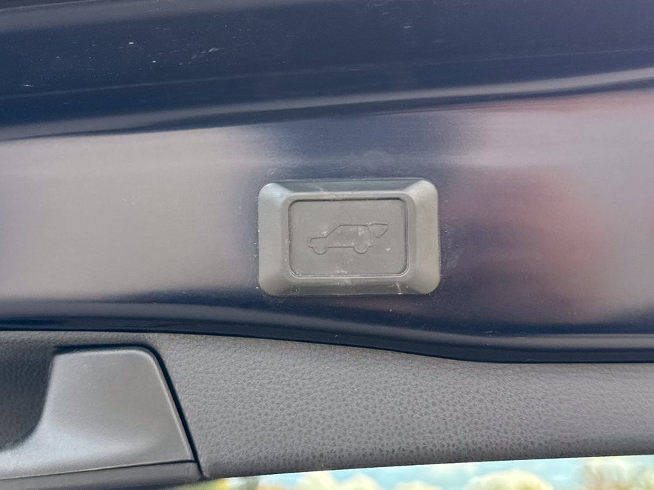 2019 Toyota RAV4 Hybrid Limited-14