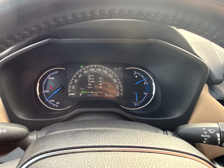 2019 Toyota RAV4 Hybrid Limited-25