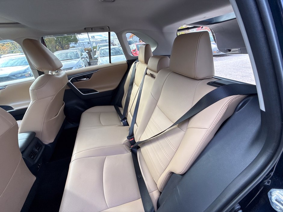 2019 Toyota RAV4 Hybrid Limited-15