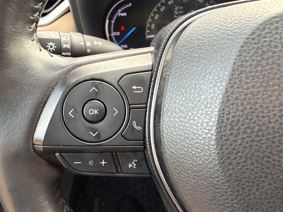 2019 Toyota RAV4 Hybrid Limited-23