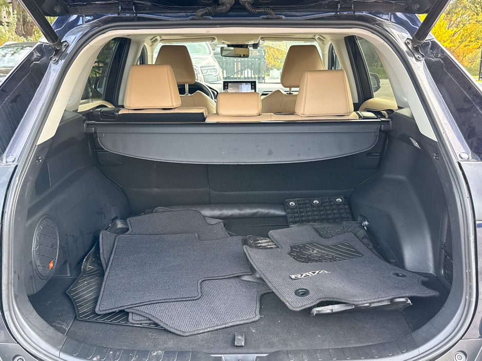 2019 Toyota RAV4 Hybrid Limited-13