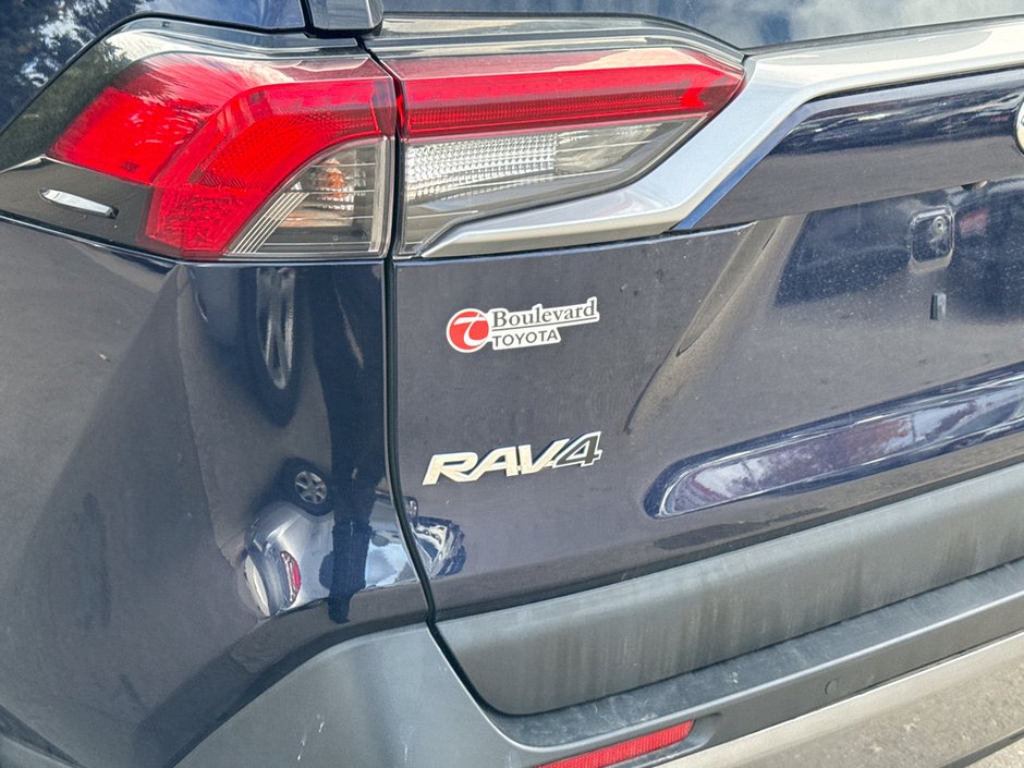 2019 Toyota RAV4 Hybrid Limited-11