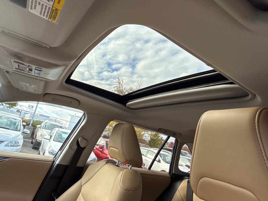 2019 Toyota RAV4 Hybrid Limited-22