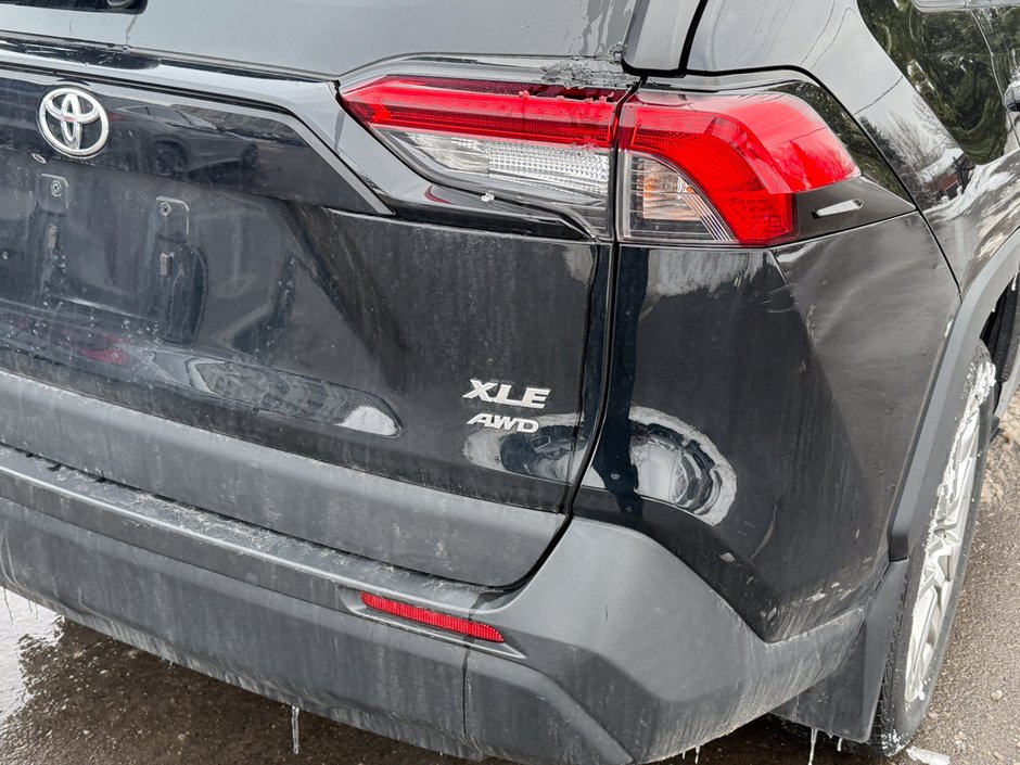 2020 Toyota RAV4 XLE-10