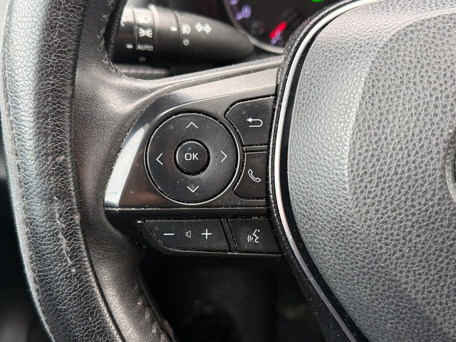 2020 Toyota RAV4 XLE-20