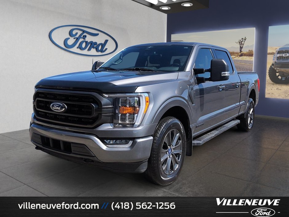 Ford F-150 XLT SPORT 302A HYBRIDE 2023 à Matane, Québec