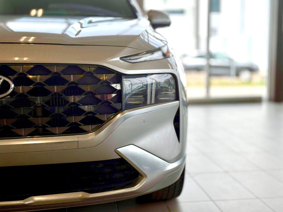 2021 Hyundai Santa Fe Ultimate Calligraphy-5