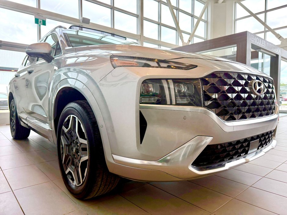 2021 Hyundai Santa Fe Ultimate Calligraphy-3