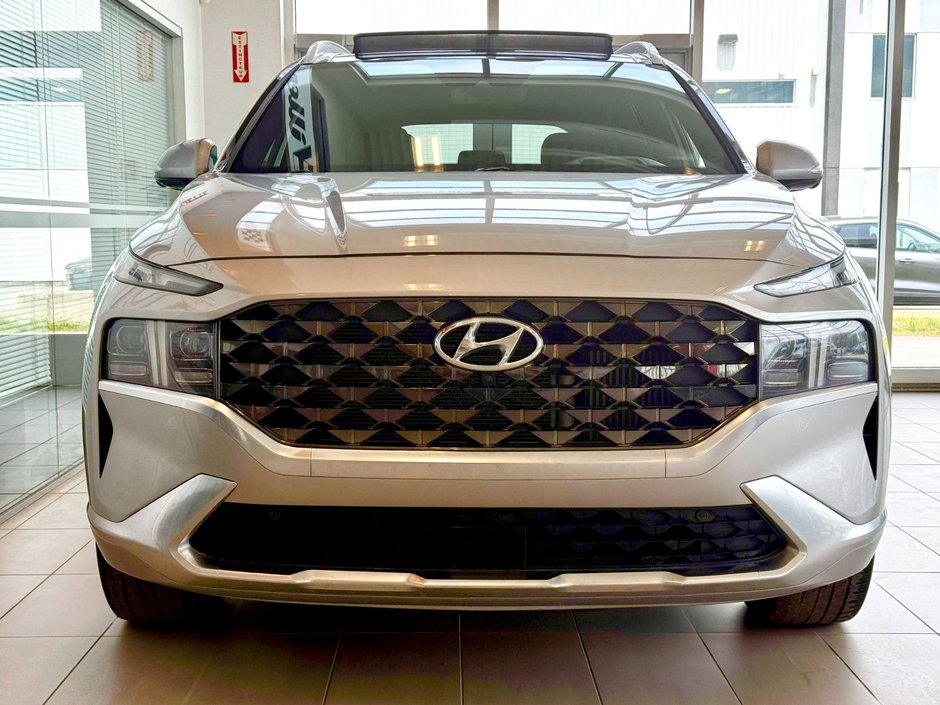 2021 Hyundai Santa Fe Ultimate Calligraphy-1
