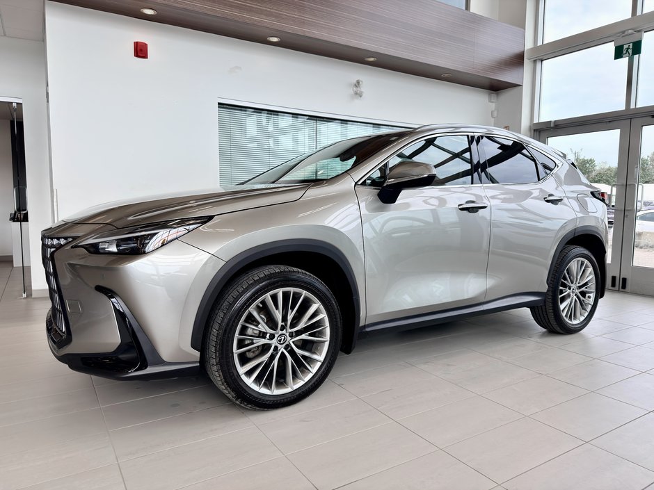 2022 Lexus NX 350-1