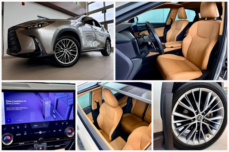 2022 Lexus NX 350-13