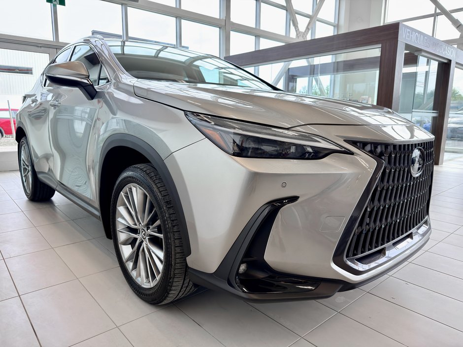 2022 Lexus NX 350-5