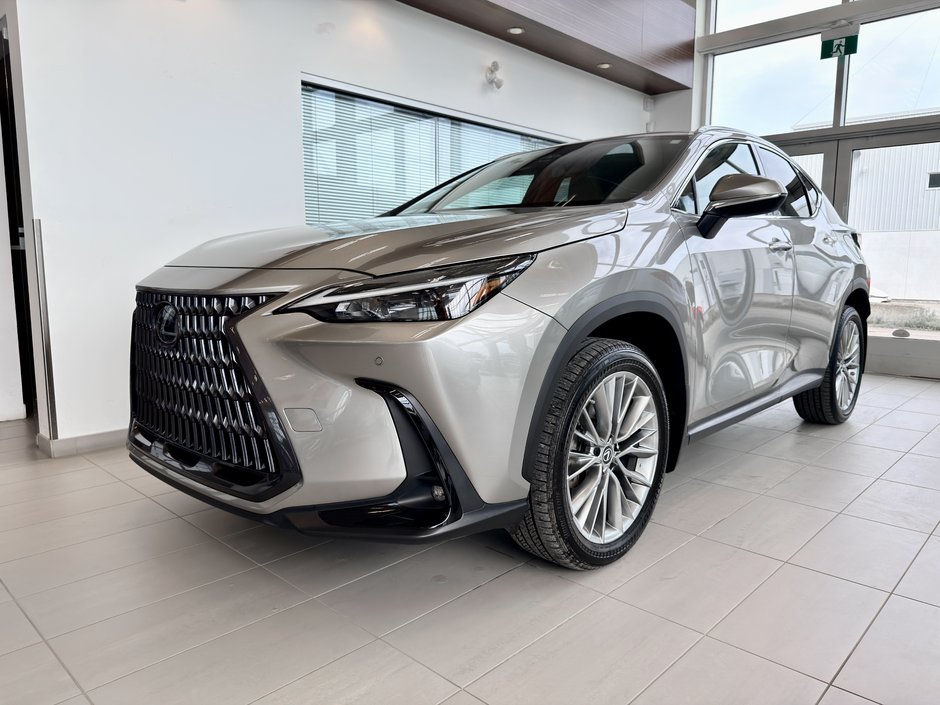 2022 Lexus NX 350-3