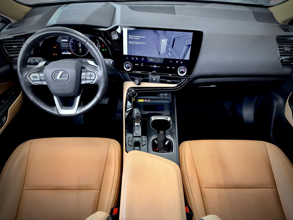 2022 Lexus NX 350-18
