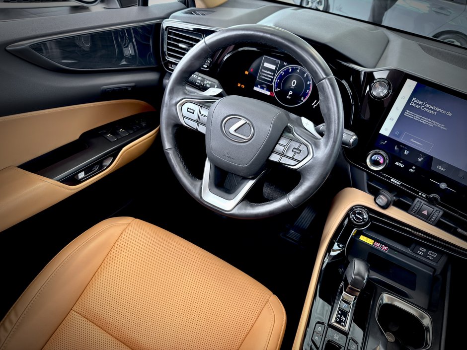 2022 Lexus NX 350-17
