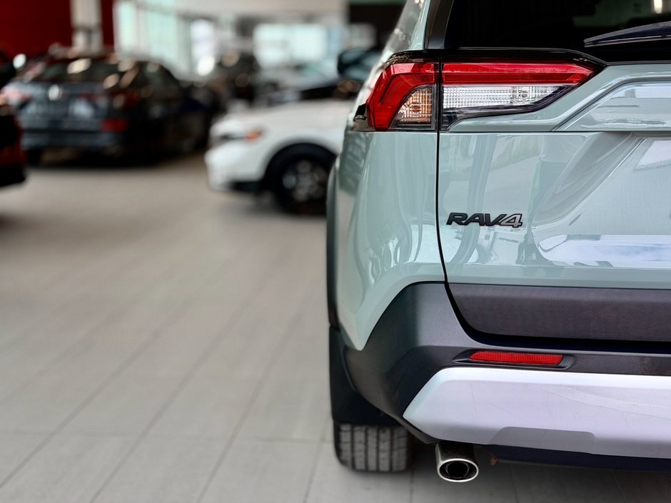 2020 Toyota RAV4 Trail-10