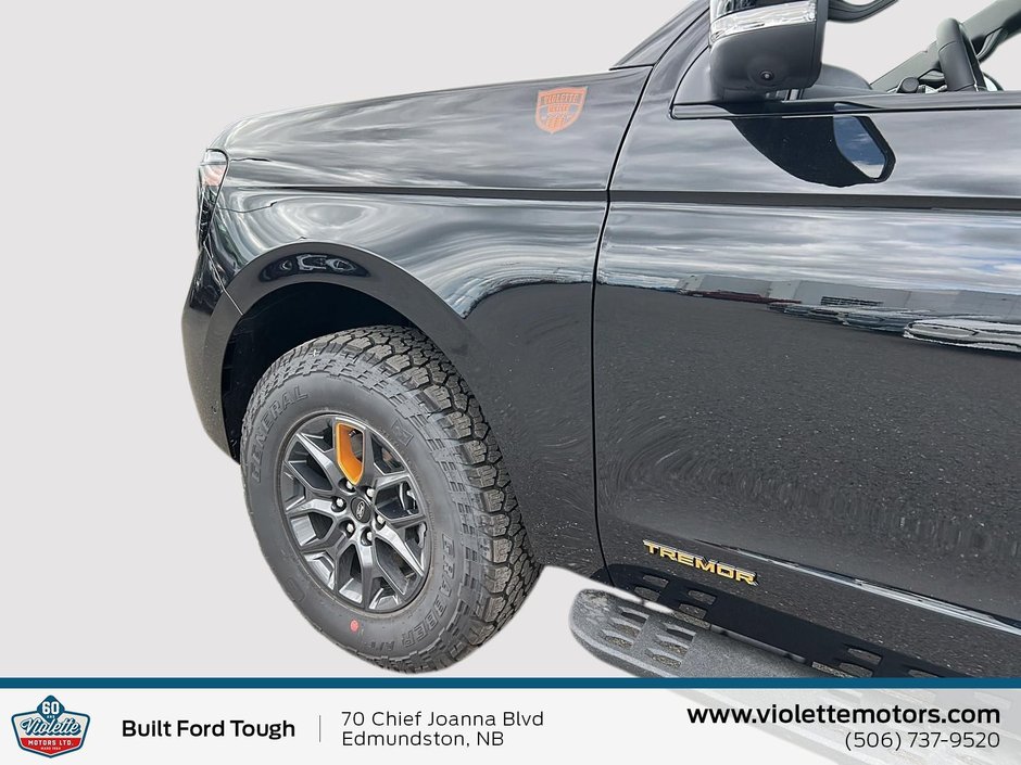 2025 Ford Expedition Tremor