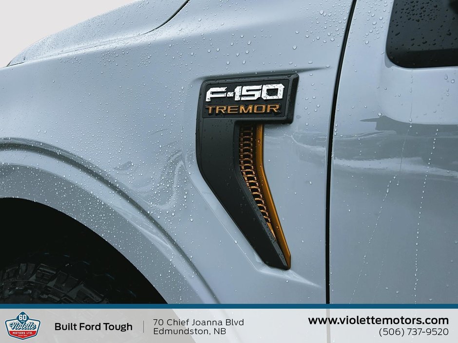 Ford F-150 Tremor 2026