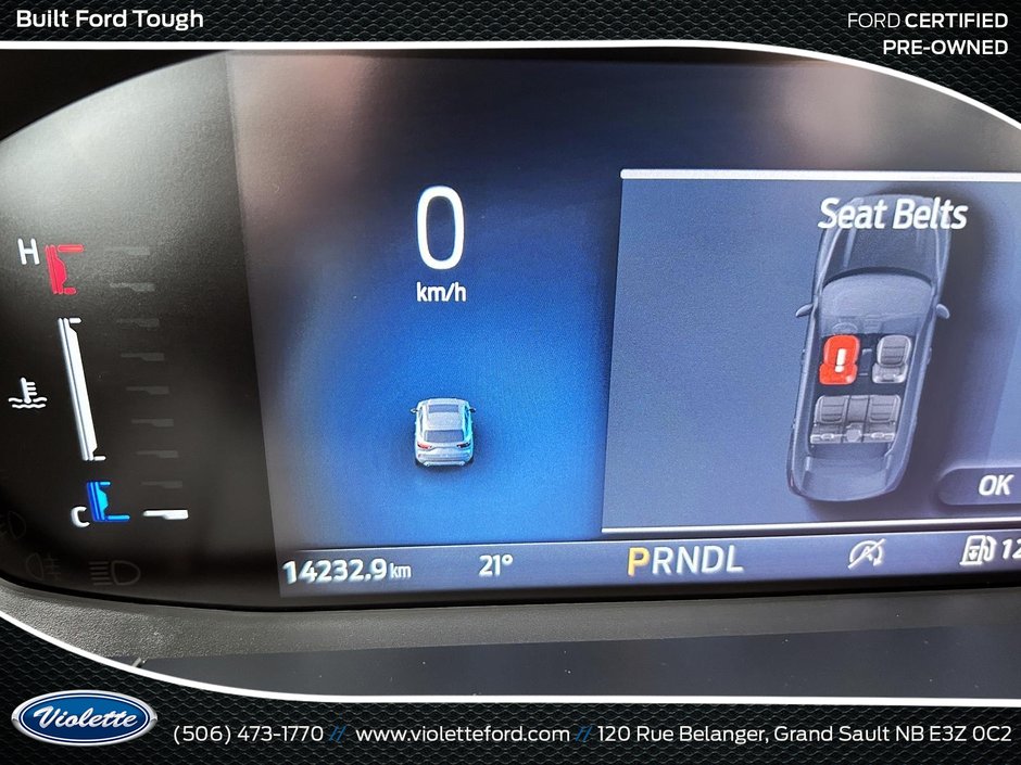 Ford Escape ST-Line 2024