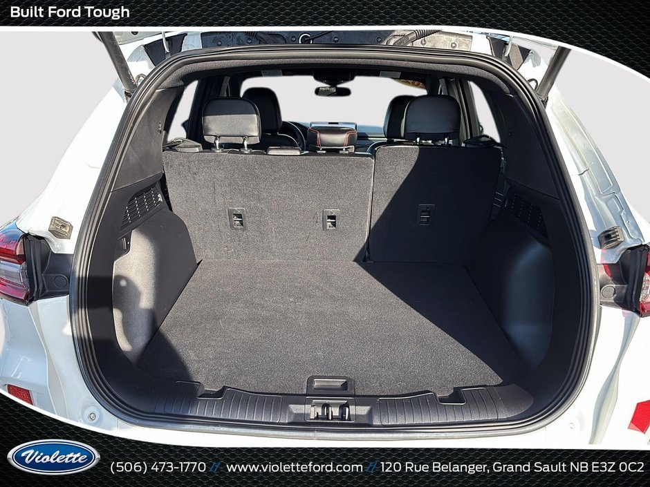 Ford Escape ST-Line Elite 2024