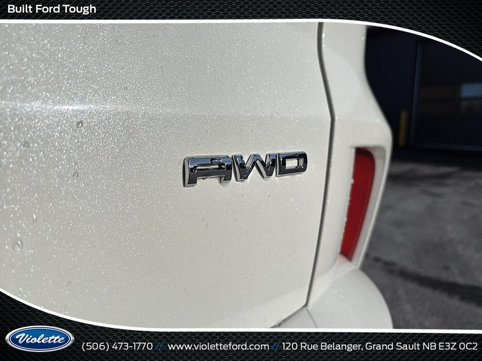 Ford Escape ST-Line Elite 2024