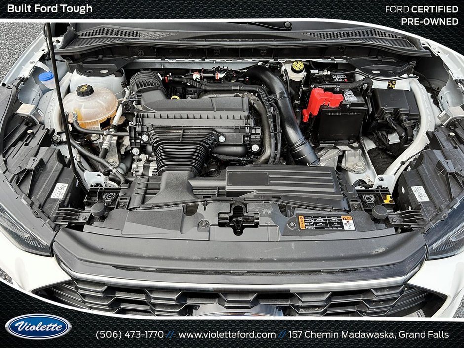 Ford Escape ST-Line Elite 2024