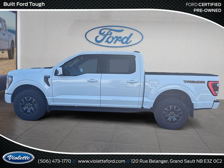 Ford F-150 Tremor 2023