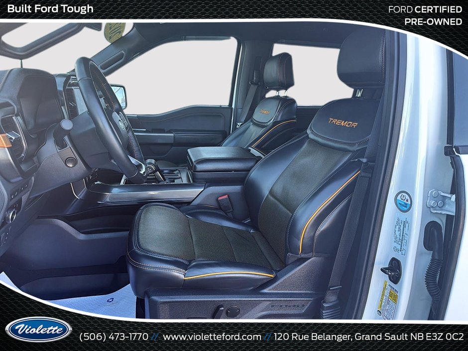 Ford F-150 Tremor 2023