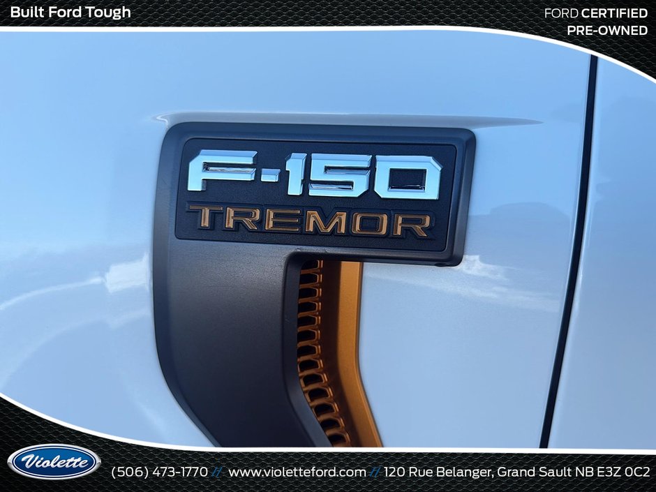 Ford F-150 Tremor 2023