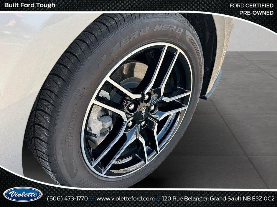 Ford Mustang EcoBoost 2022