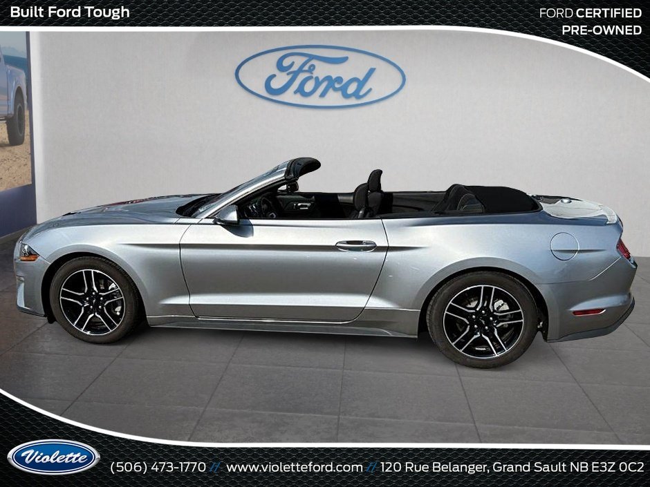 Ford Mustang EcoBoost 2022