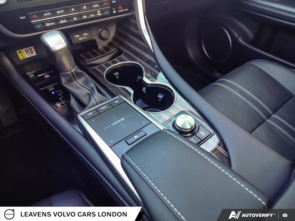 2020 Lexus RX 350-17