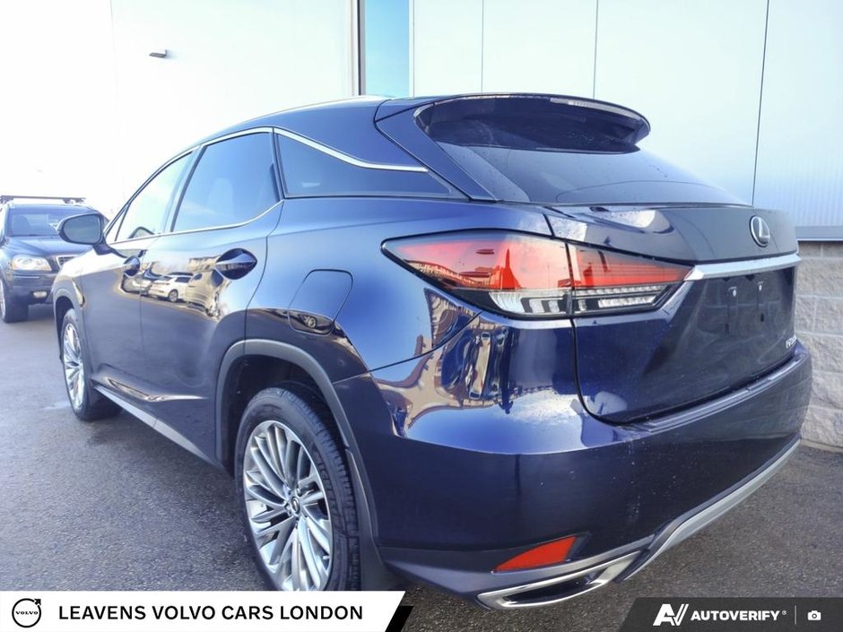 2020 Lexus RX 350-10