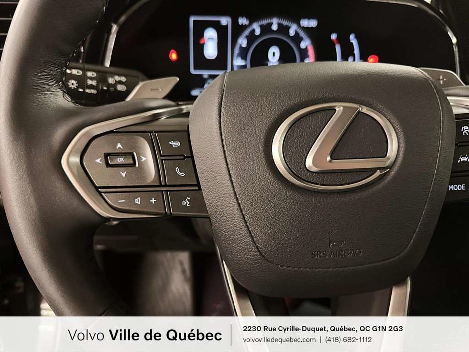 2022 Lexus NX-Series 350 Executive-14