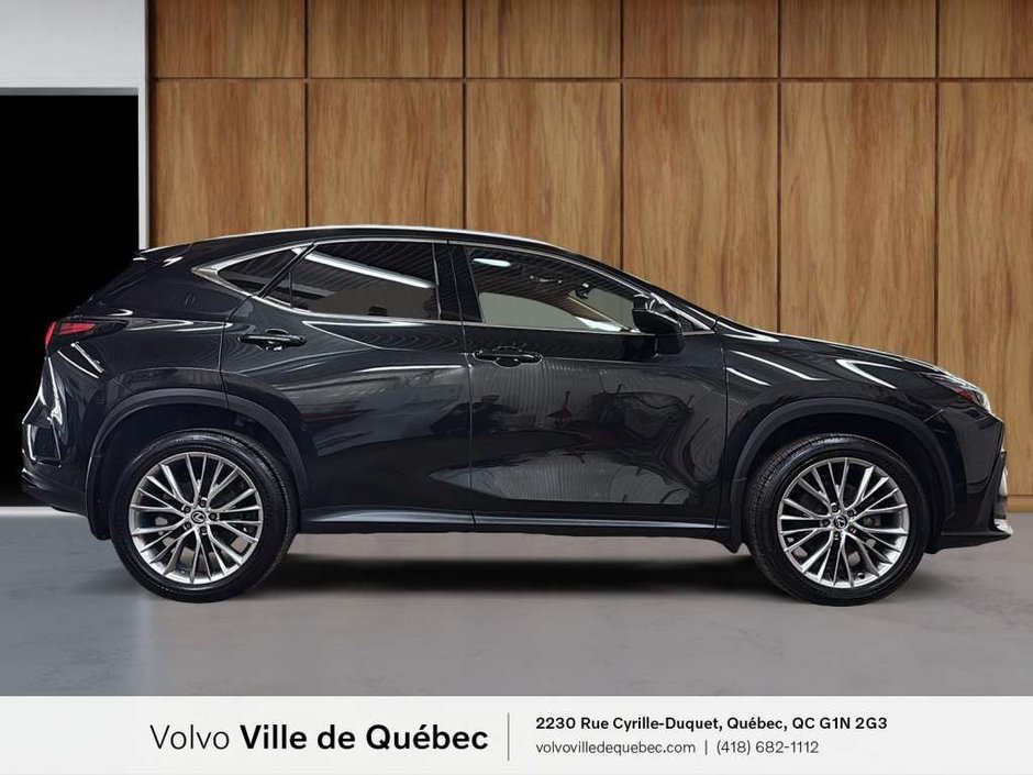 Lexus NX-Series NX350 Premium 2024-3