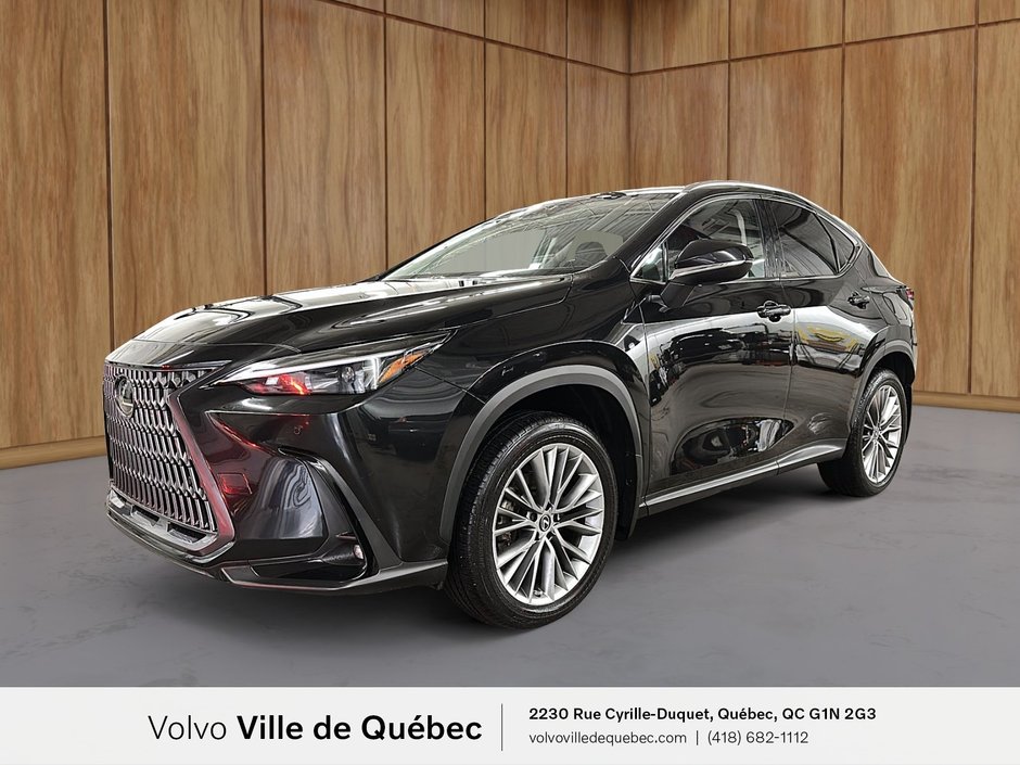 2022 Lexus NX 350-0