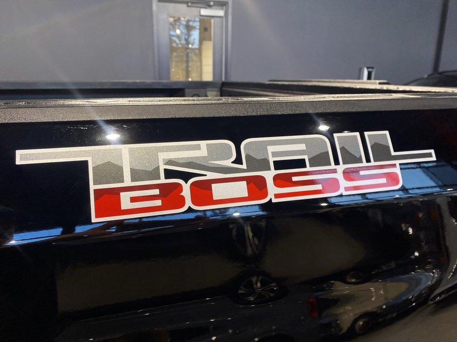 2021 Chevrolet Silverado 1500 Crew Cab 4x4 LT Trail Boss / Standard Box-24