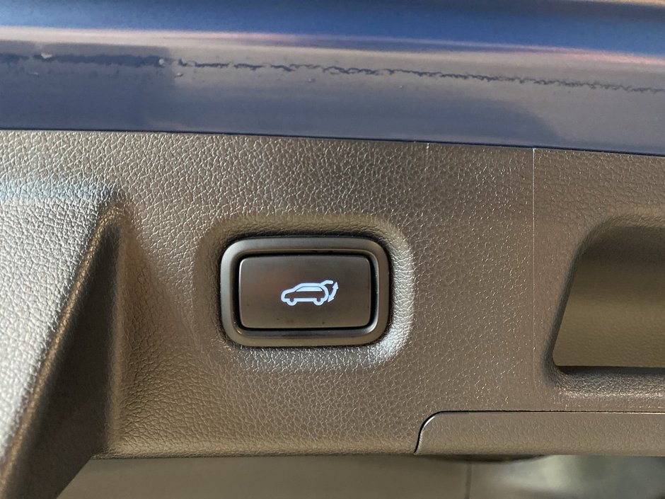 2021 Hyundai Santa Fe Ultimate Calligraphy AWD 2.5T-21