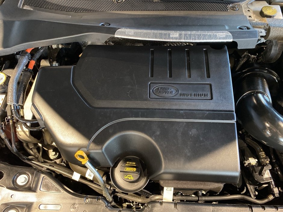 2024 Land Rover Range Rover Evoque P250 Dynamic HSE-23