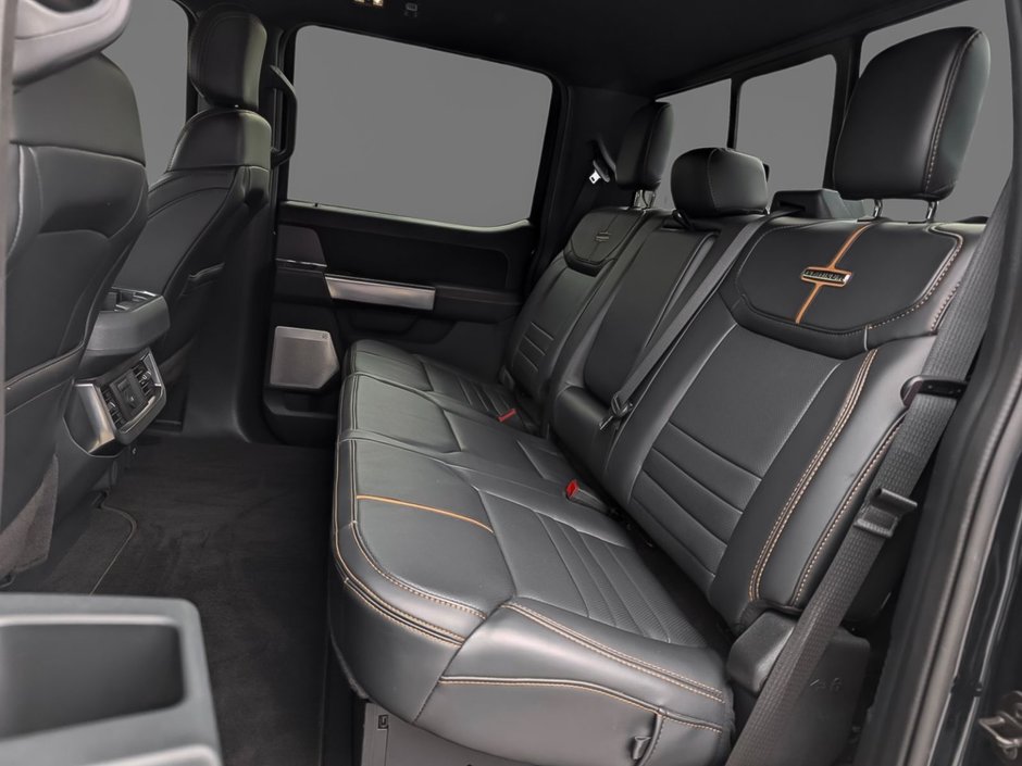 2023 Ford F250 4x4 - Crew Cab Platinum - 160 WB-12