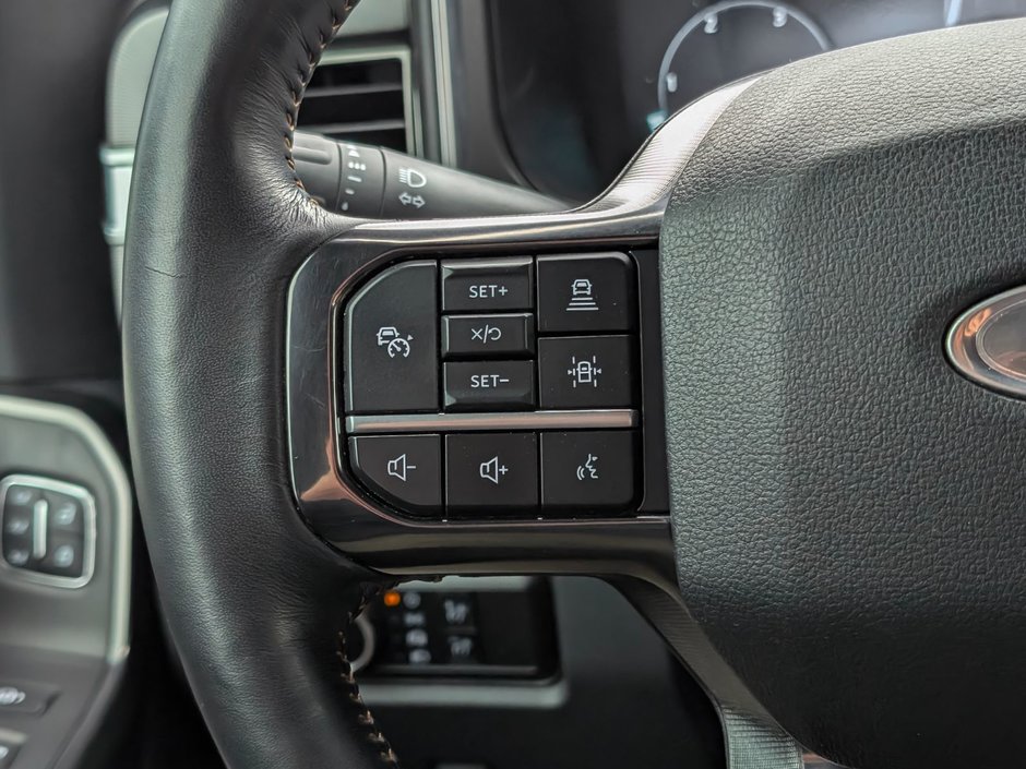 2023 Ford F250 4x4 - Crew Cab Platinum - 160 WB-25