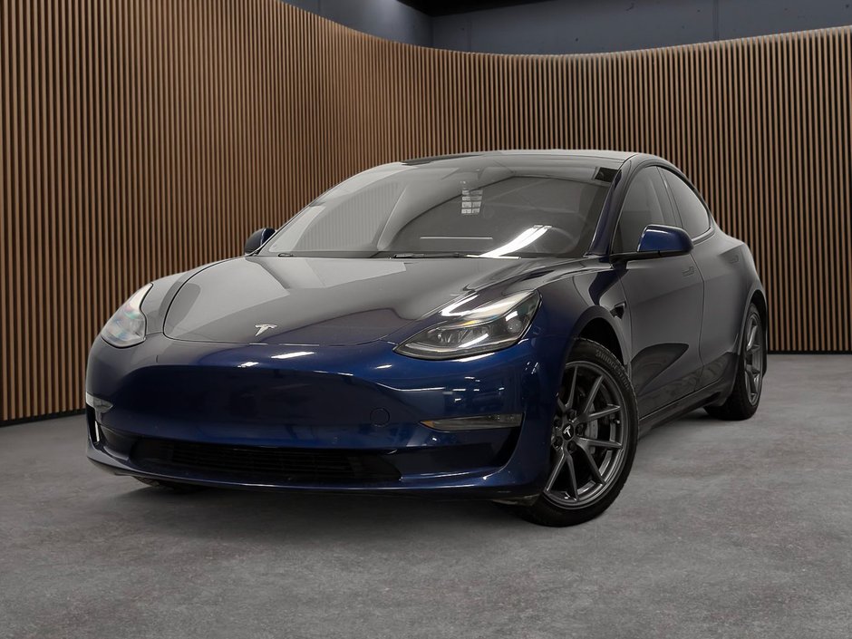 2022 Tesla Model 3 RWD-0