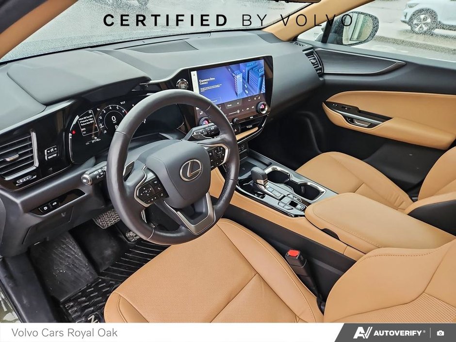 2023 Lexus NX 350-12