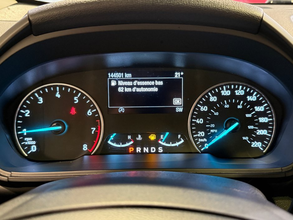 2019 Ford EcoSport SE-19