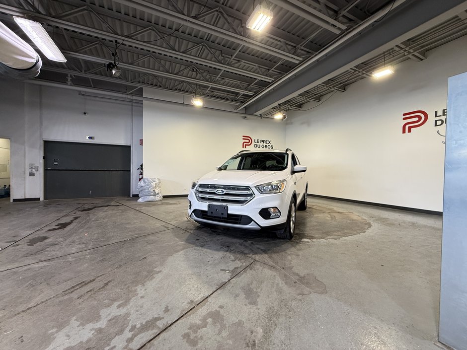 2019 Ford Escape SEL-6