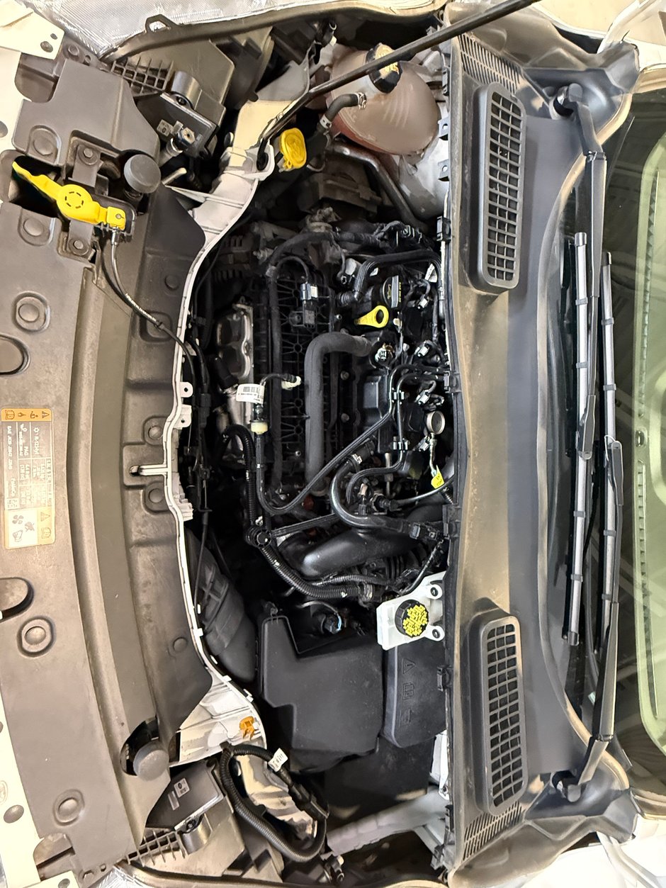 2019 Ford Escape SEL-27