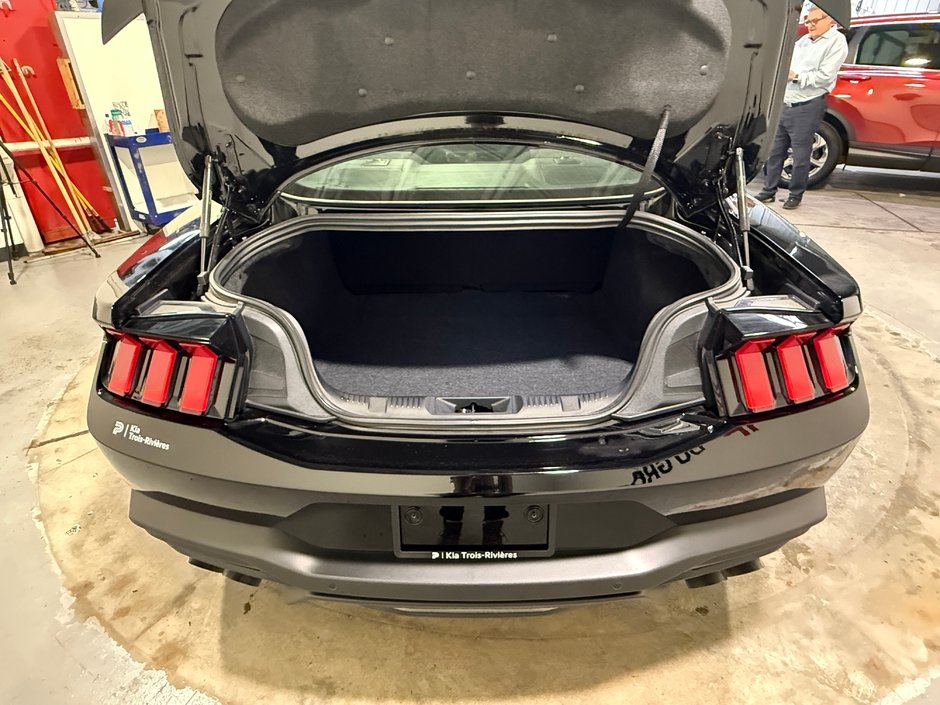 2025 Ford Mustang GT-24