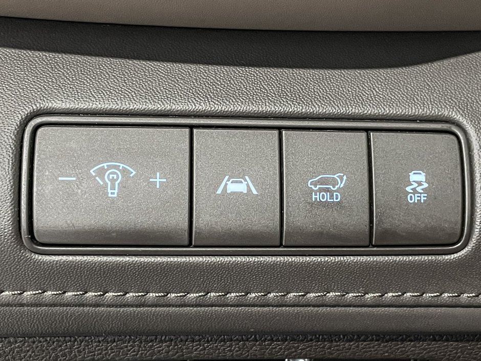 2022 Hyundai Santa Fe hybride rechargeable Luxury AWD-17